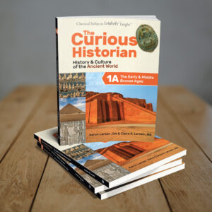 The Curious Historian